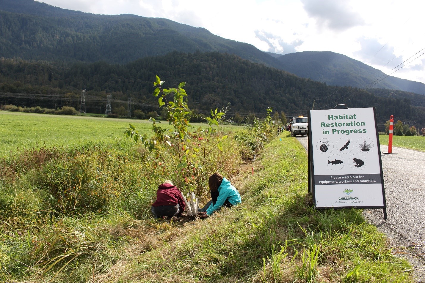 Students planting trees to improve Coho Salmon habitat.